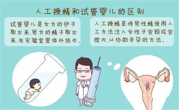 国内借卵试管代怀流程(国内借卵试管代怀流程详解)