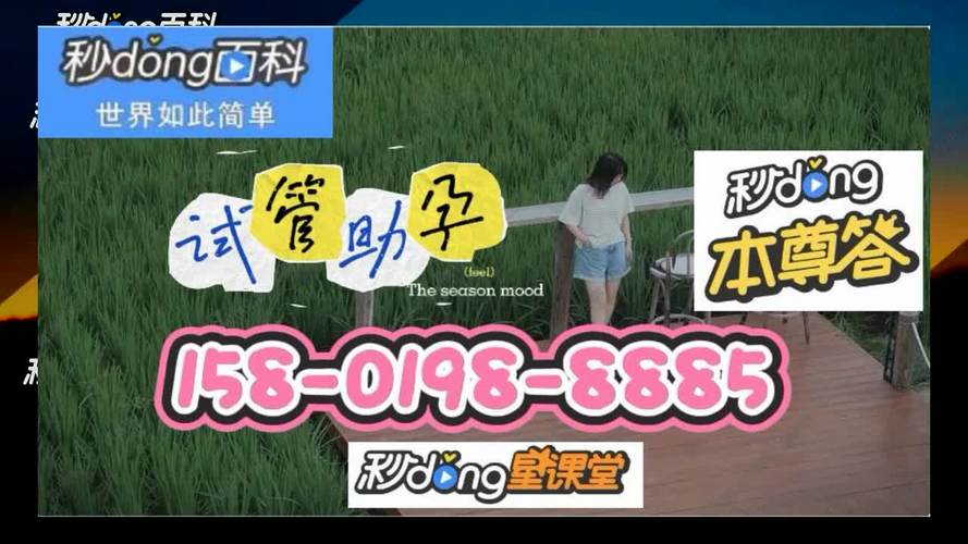 国内借卵试管代怀哪家好(国内借卵试管代怀哪家好?选择最适合的代孕机构就是成功的一半)